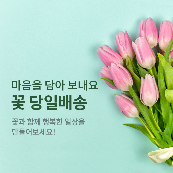 마음을 담아 보내요 꽃 당일 배송. 꽃과 함께 행복한 일상을 들어보세요!