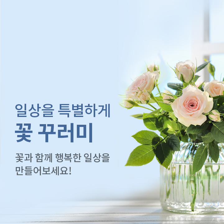 일상을 특별하게 꽃 꾸러미. 꽃과 함께 행복한 일상을 만들어보세요!