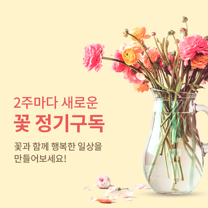 2주마다 새로운 꽃 정기구독. 꽃과 함께 행복한 일상을 들어보세요!